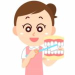 虫歯の私が歯医者に褒められた歯磨き法とは？ガッテンの方法も踏まえて公開